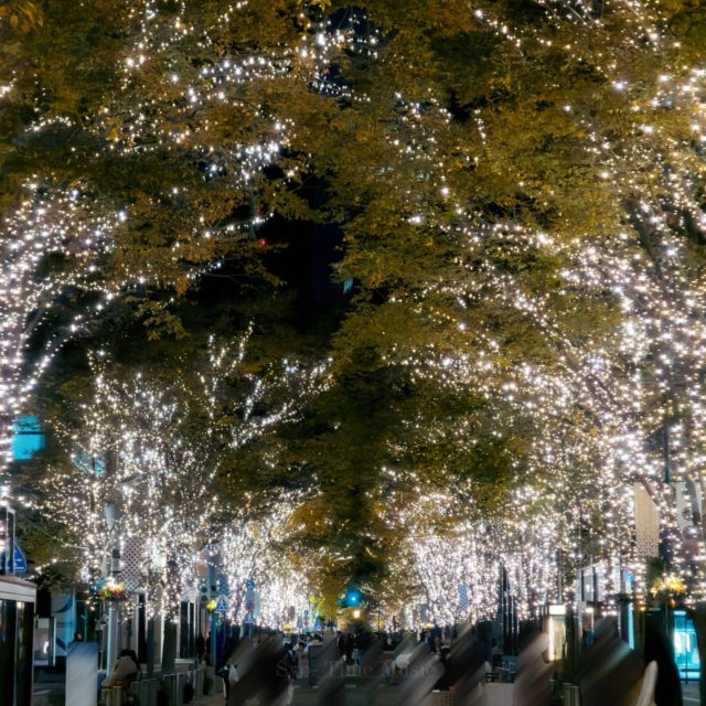 Tokyo Night

#photograph #christmas 
#tokyonight