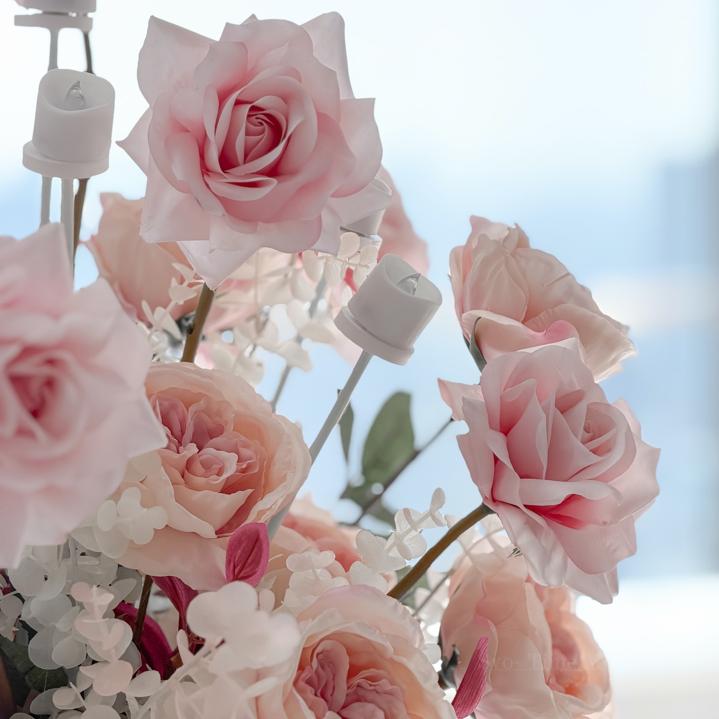 街が、少しだけ甘い香りに包まれて。
淡く色づく、今日の記録。

#写真好きな人と繫がりたい 
#キリトリセカイ