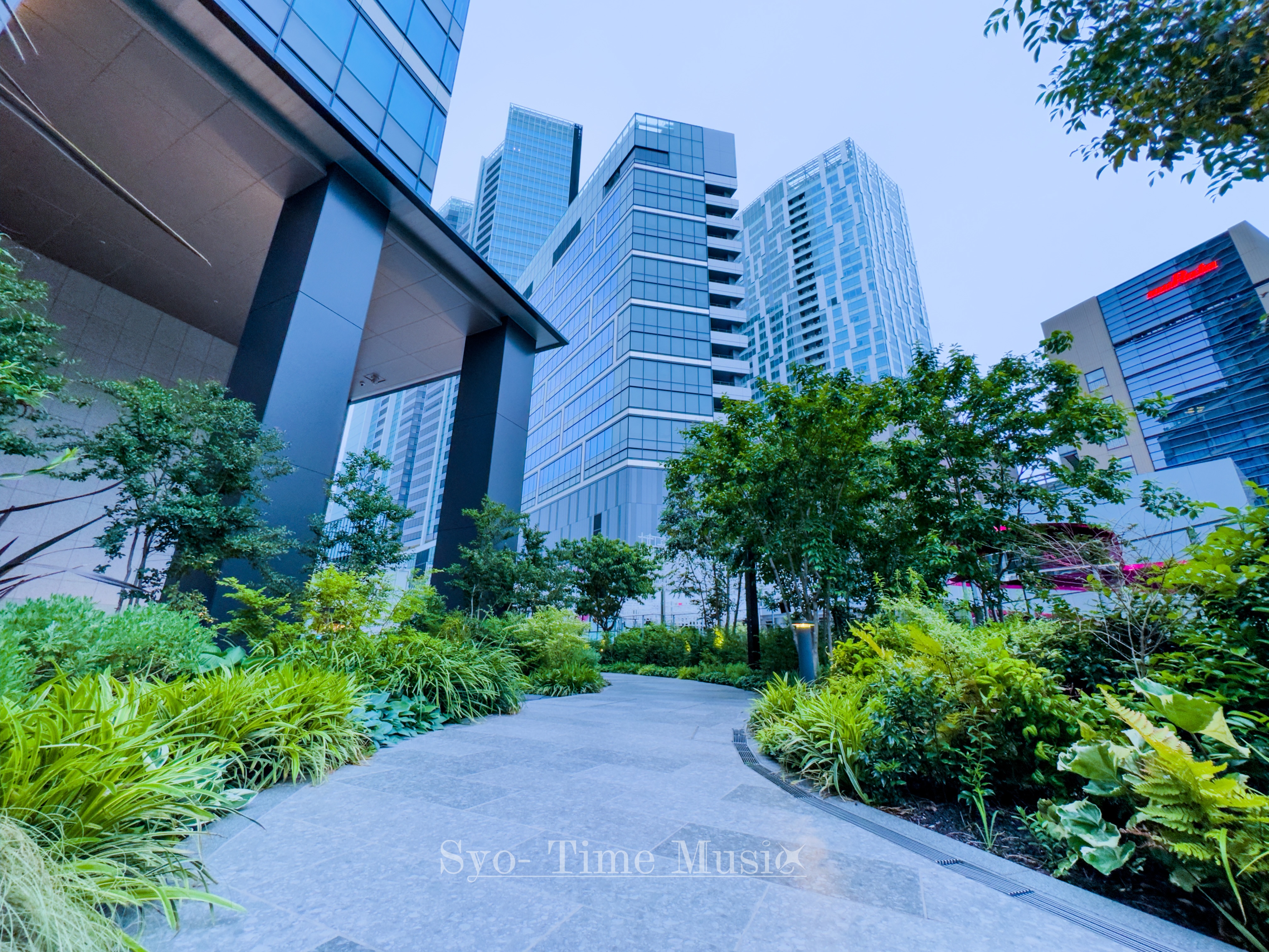ビルの隙間に見つけた、癒しの空間。

#ファインダー越しの私の世界
#キリトリセカイ